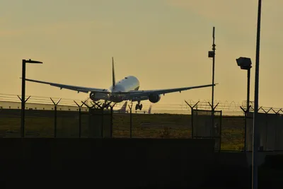 DSC_5709 (Large).JPG